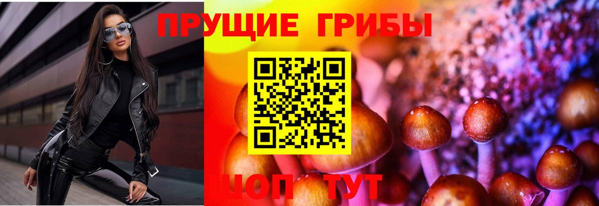Галлюциногенные грибы прущие грибы  Галлюциногенные грибы мухоморы  Моздок  Вход с VPN 
